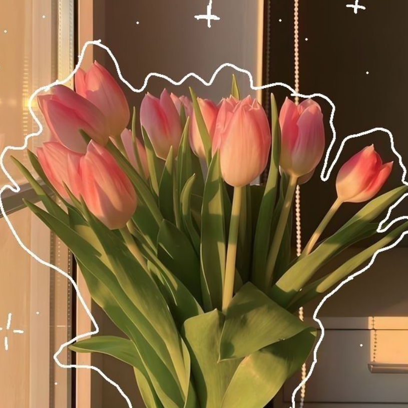 ✧ Zahra DESIGN ✧