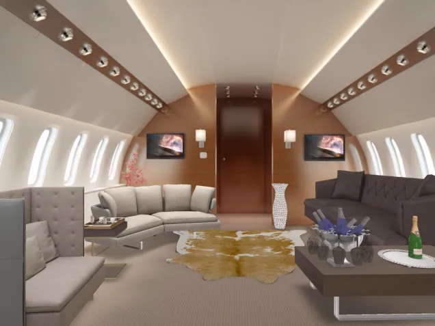 ⚜️private deluxe jet, the lounge⚜️🛩