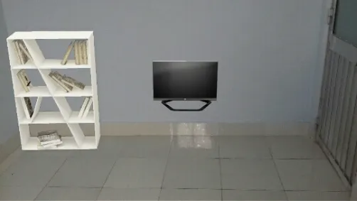 Book Shelf + TV