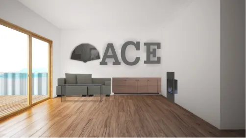 Ace family