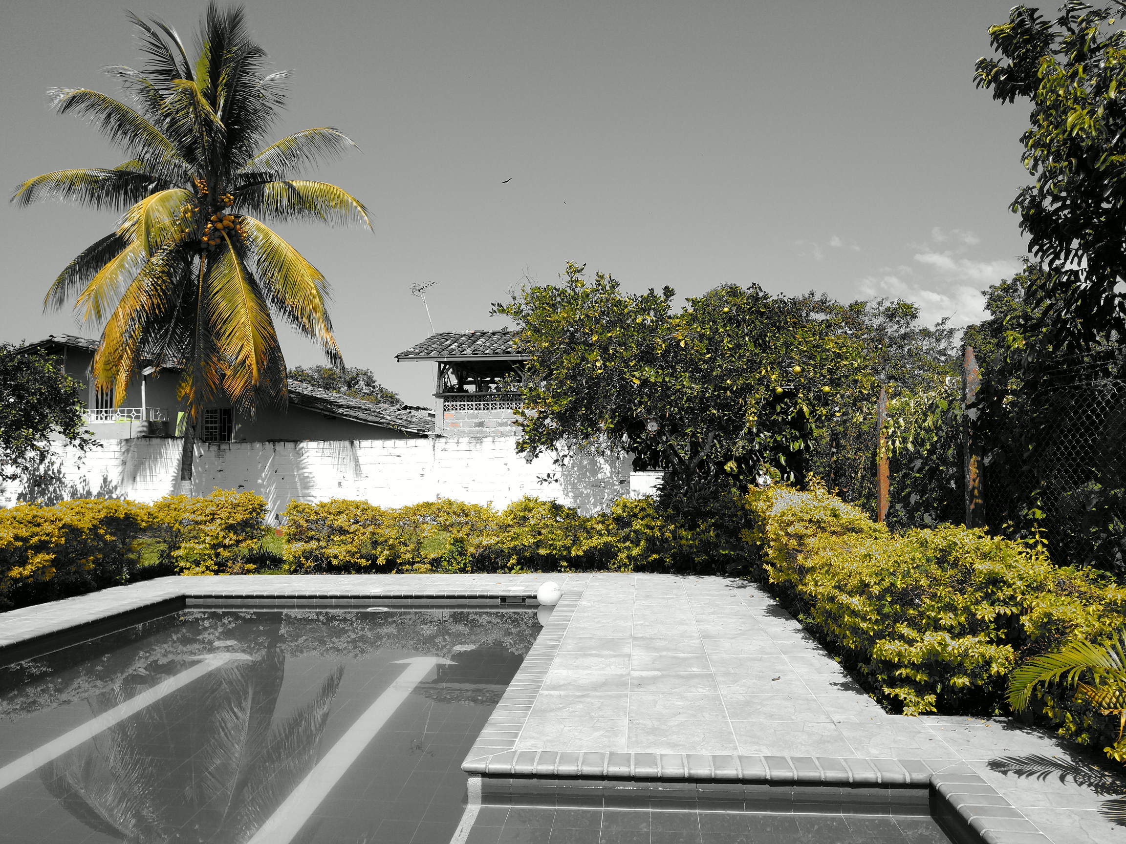 Santiago Salazar Grisales