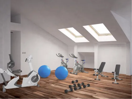 Work Out Room