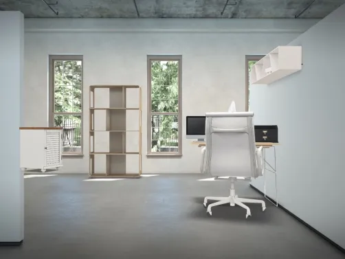 The basic office