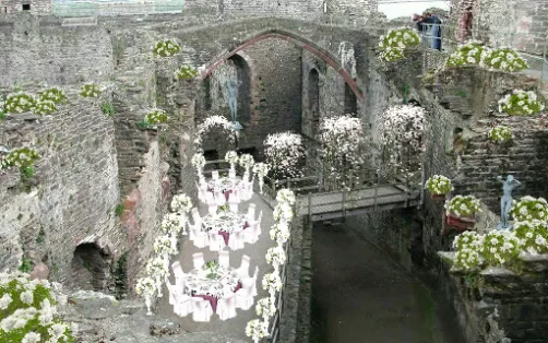 Outdoor Wedding