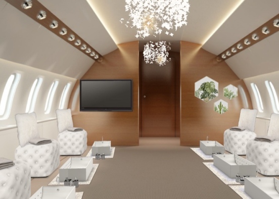 Private Jet Ride!!! Design Rendering