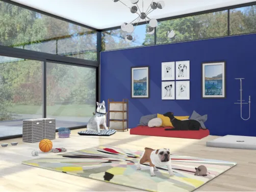 Dog Room