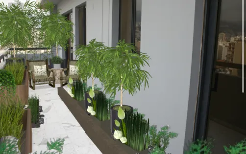 Urban Oasis