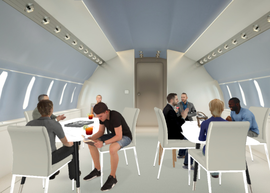 binuess trip: first class private plane Design Rendering