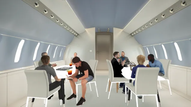 binuess trip: first class private plane