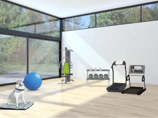 salle de sport 
