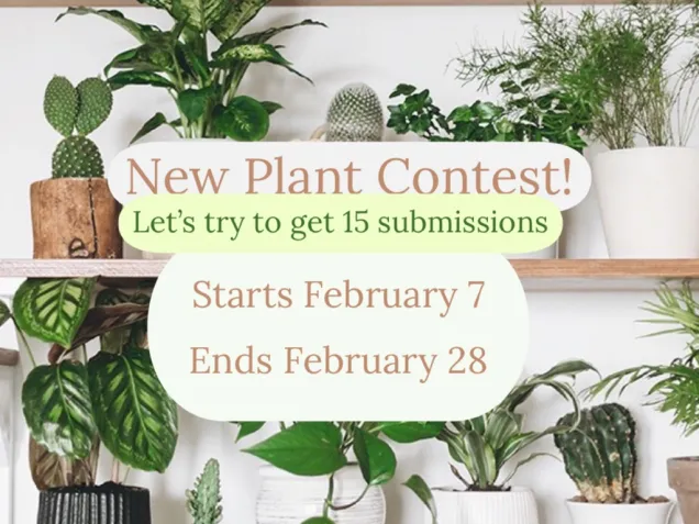 Join this new contest! Design a room that is plant-based or plant-themed. 