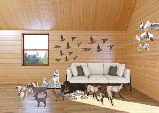 the animal foster home Design Rendering