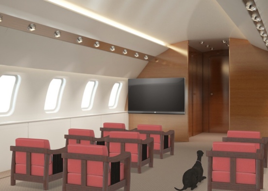 first class with a pet wooohooo Design Rendering