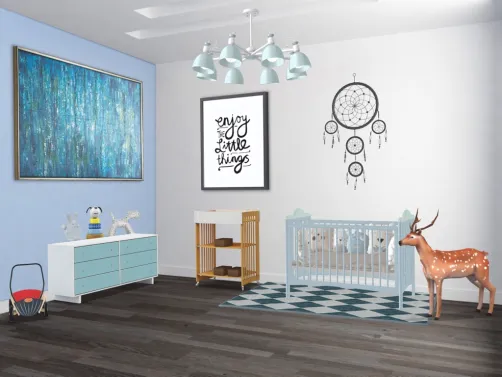newborn boys room