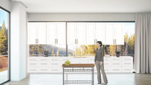 the basic kitchen
