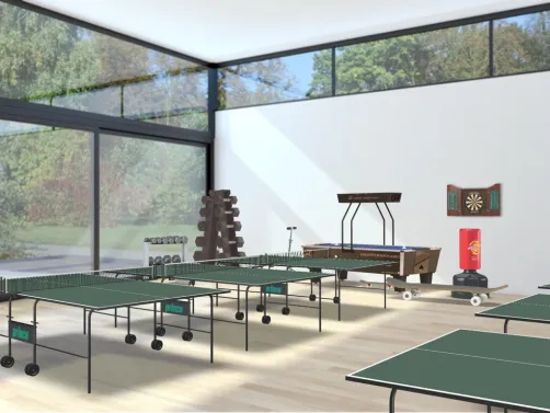 ma salle de tennis de tables 