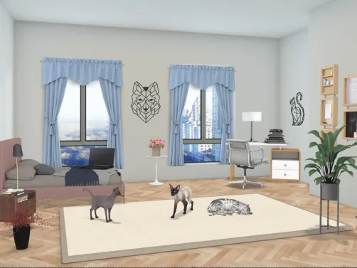 chambre amie des chats