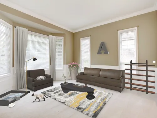 cat living room that will smell like fur