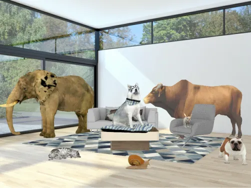 Animals in living room