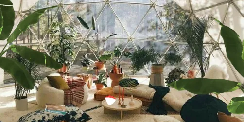 Indoor reading and garden area