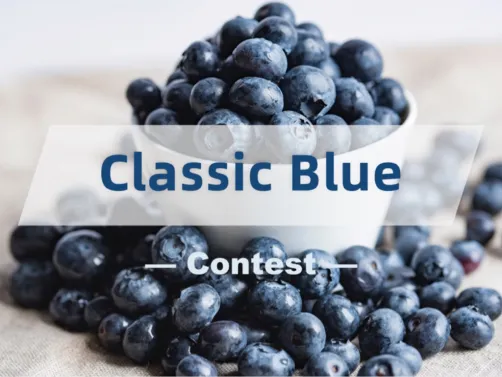 Homestyler Official Contest