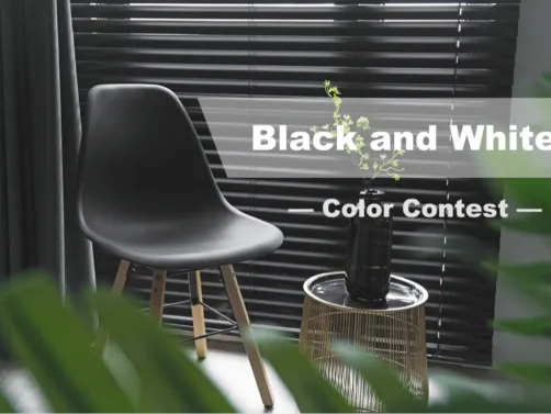 Homestyler Official Contest