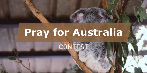 Homestyler Official Contest
