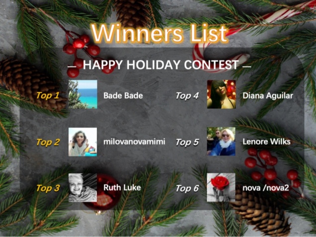 Happy Holiday Contest Winners