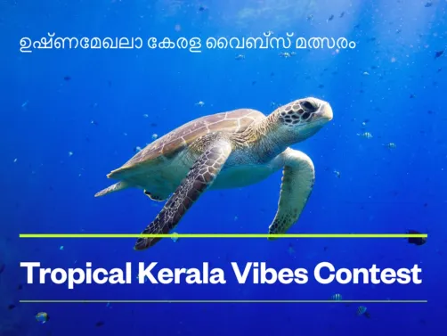 ഉഷ്ണമേഖലാ കേരള വൈബ്സ് മത്സരം | Tropical Kerala Vibes Contest