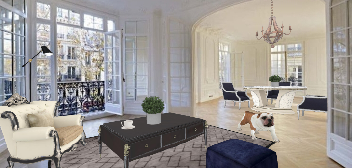 Stylish French Apartment  Design Rendering