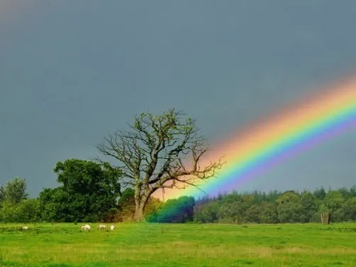 Shout-Out info Announcement 