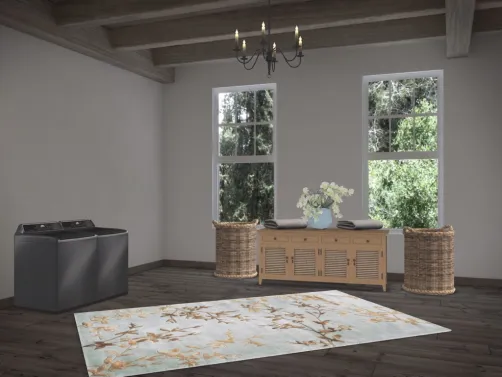 Landry room
