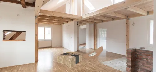 peanut living room