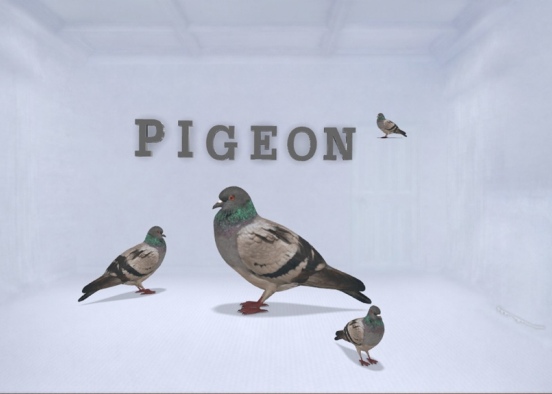 Pigeon Room Design Rendering