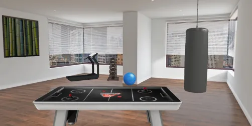 home mini gym