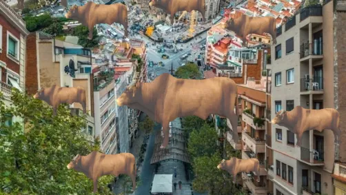 Italian government says that " cattles can fly "😔 ooh my!!