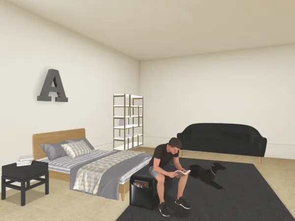 Image 5
