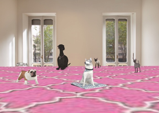 #dog and cat floor 🐶🐱🐶🐱🐶   😹🤣😂 Design Rendering