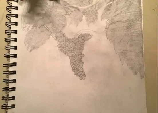 # drawing  Визуализация дизайна