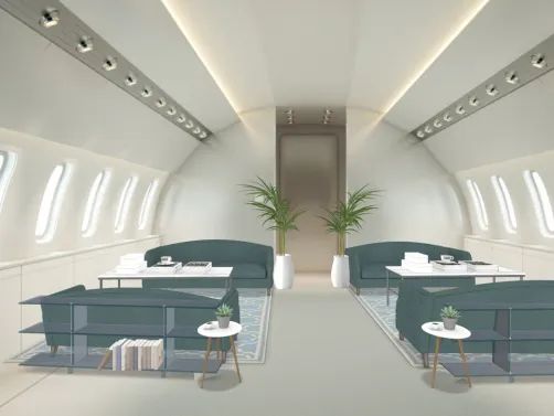 vip plane