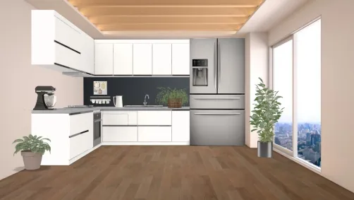 Modern Kitchen 