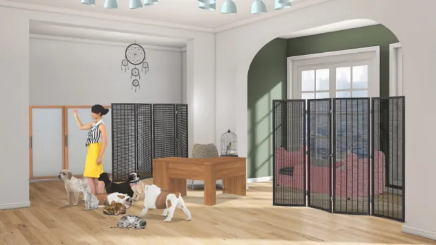 The bedroom and vet\animal daycare room