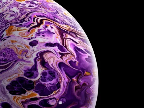 la plante euh... je ne connais pas cette plante 