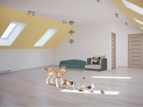 chanbre pour animaux