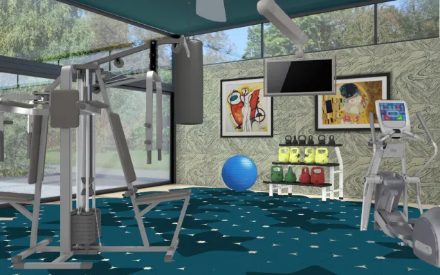 Personal home gym