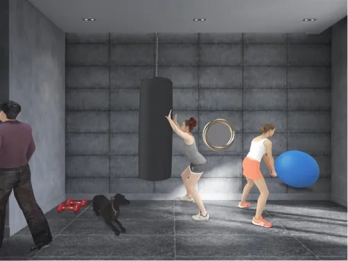 exercise room in a house not a gym