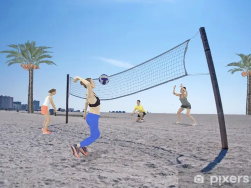 petite partie de volley
