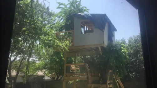 TREEHOUSE 