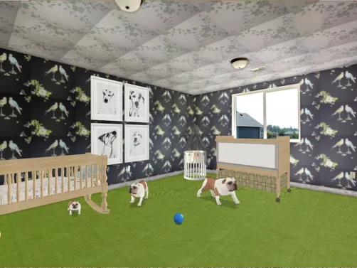 dog 🐕 🐶 bedroom 