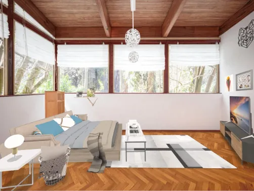 Living Room Bedroom Combo